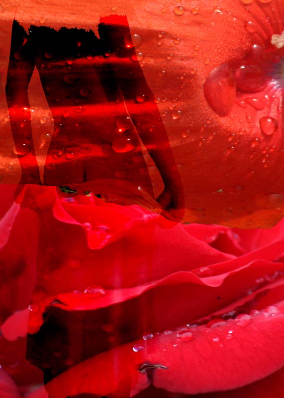 Valentin Oszkiel "Lady Red"