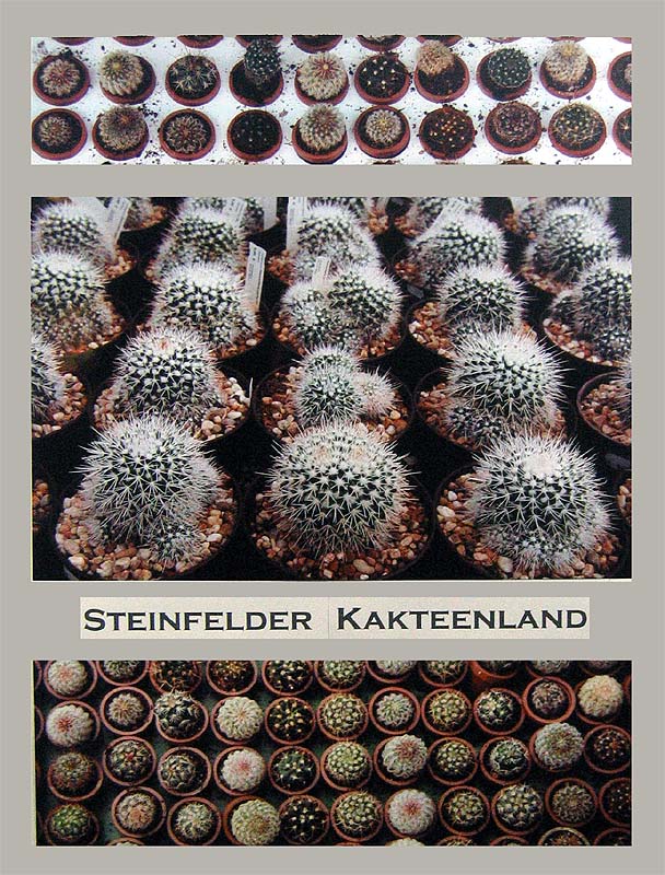 Gerda Fr�scher "Kakteenland"