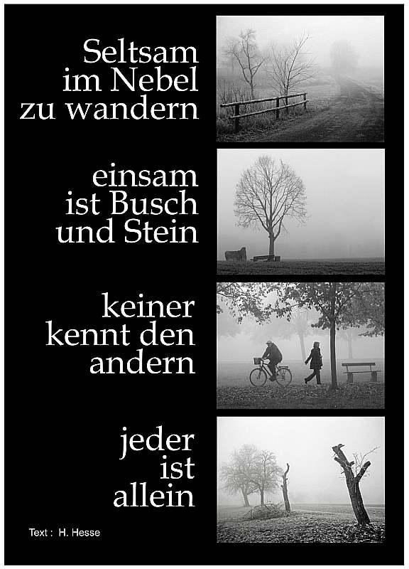 Werner Peppel "Seltsam im Nebel"