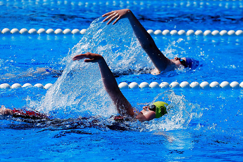 Heinz Epting "Schwimm-Wettkampf"