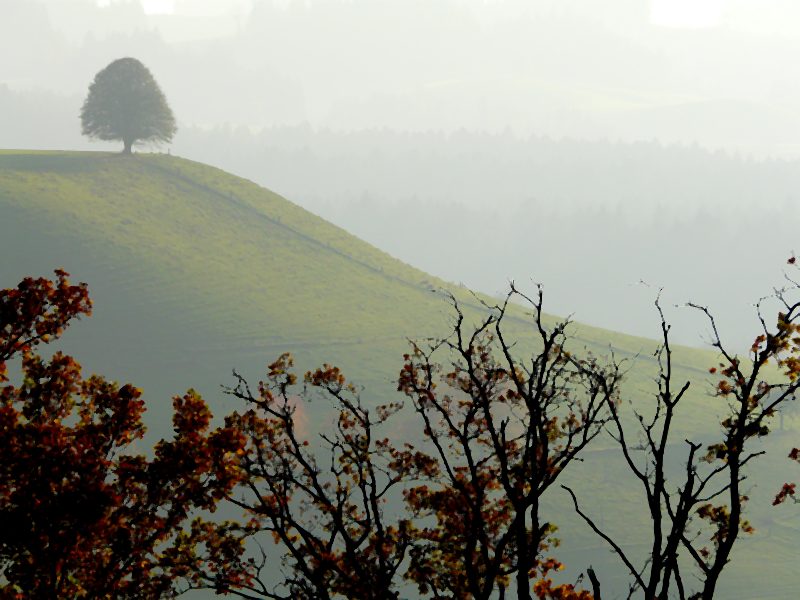 Helga Mayr "Herbststimmung"