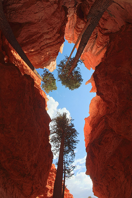 Manfred Jakob "Bryce Canyon"