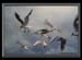Heinz Epting "M�wen"