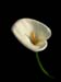 J�rgen Breit 