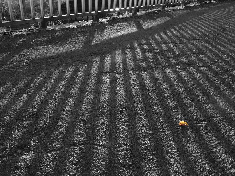 Werner Peppel  "Schatten"