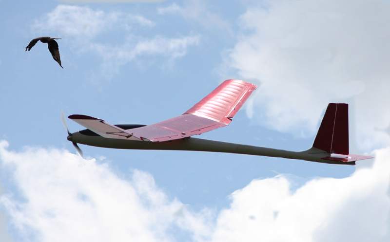 Beate Wurm "Flugzeug"