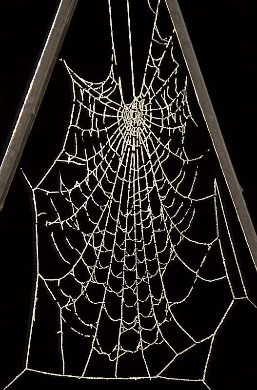 Heinz Epting "Netz"