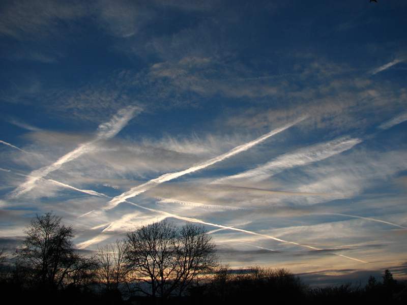 Renate Reiter "Himmel"