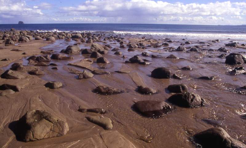 Gerda Fr�scher "Strand"