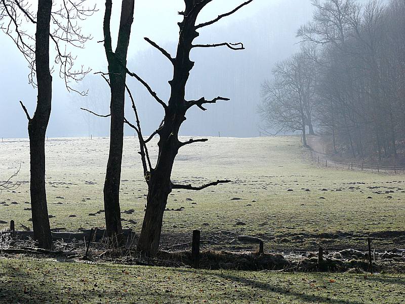 Volker Thierer "Herbstlandschaft"
