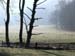 Volker Thierer "Herbstlandschaft"