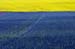 08_Wolfgang_Hartwig_Felder