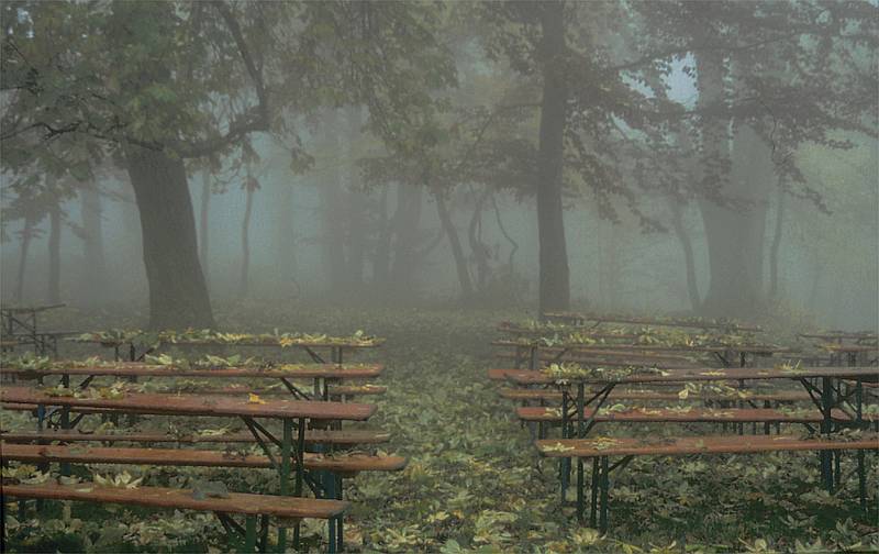Gustl Tham "B�nke im Nebel"