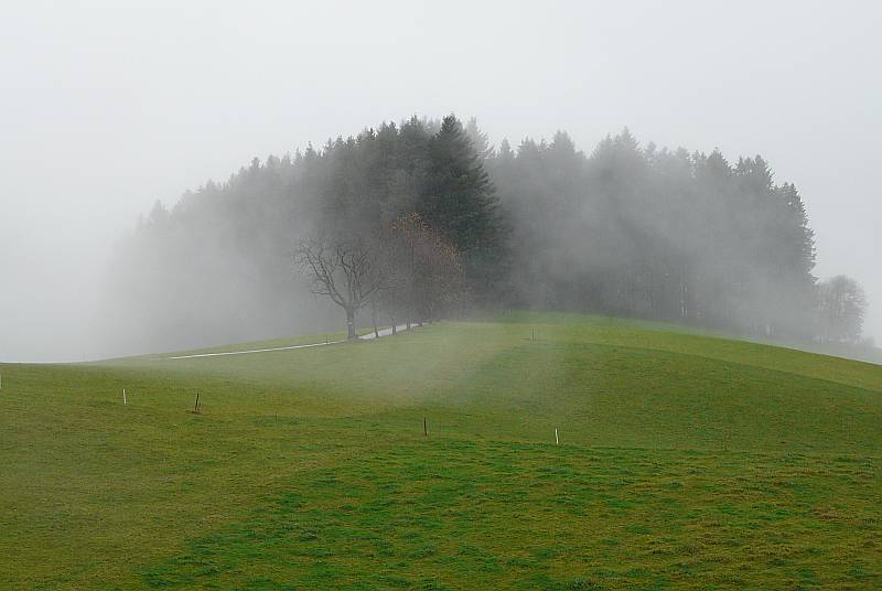 Helga Mayr "Nebel"