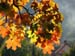 3_Reiter_Laub