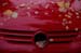 5_Froescher_Auto