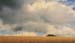 Gustl Tham Kornfeld