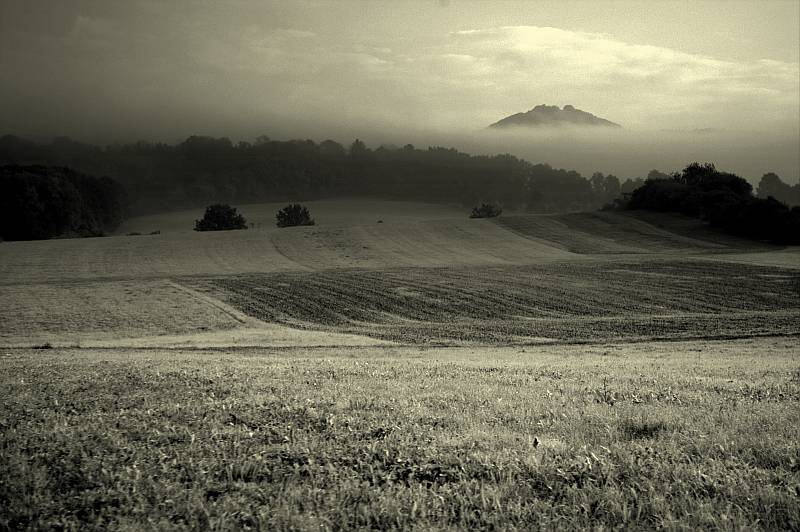 Valentin Oszkiel  "Hohenstaufen"
