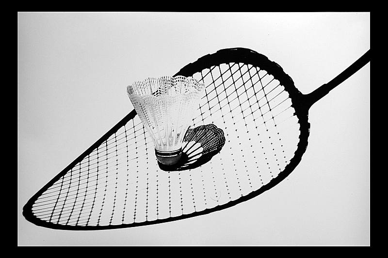 Monika Gl�ckler "Badminton"