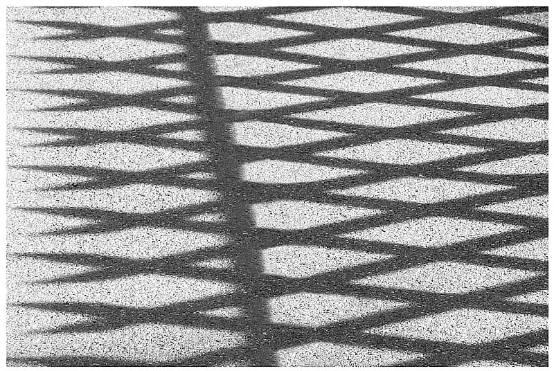 Werner Peppel "J�gerzaun"