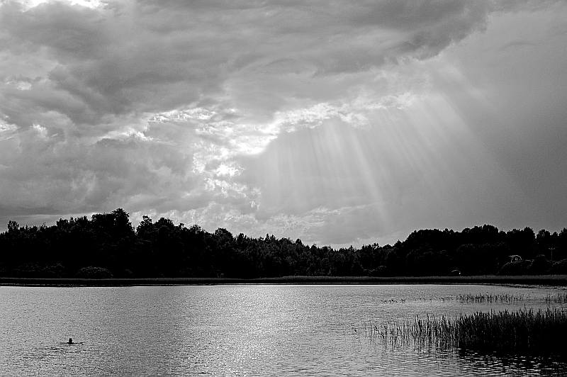 Renate Reiter "Stimmung am Wasser"