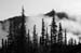04_Renate_Reiter_Waldnebel