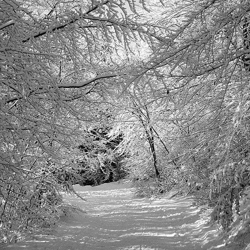 Werner Peppel "Schneeweg"