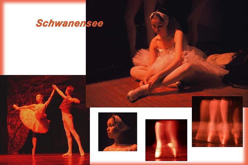 Monika Gl�ckler "Schwanensee"