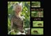 5_Gloeckler_Wildlife