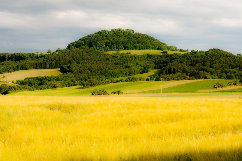 Wolfgang Hartwig "Hohenstaufen"