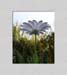 08_Beate_Wurm_Margarite