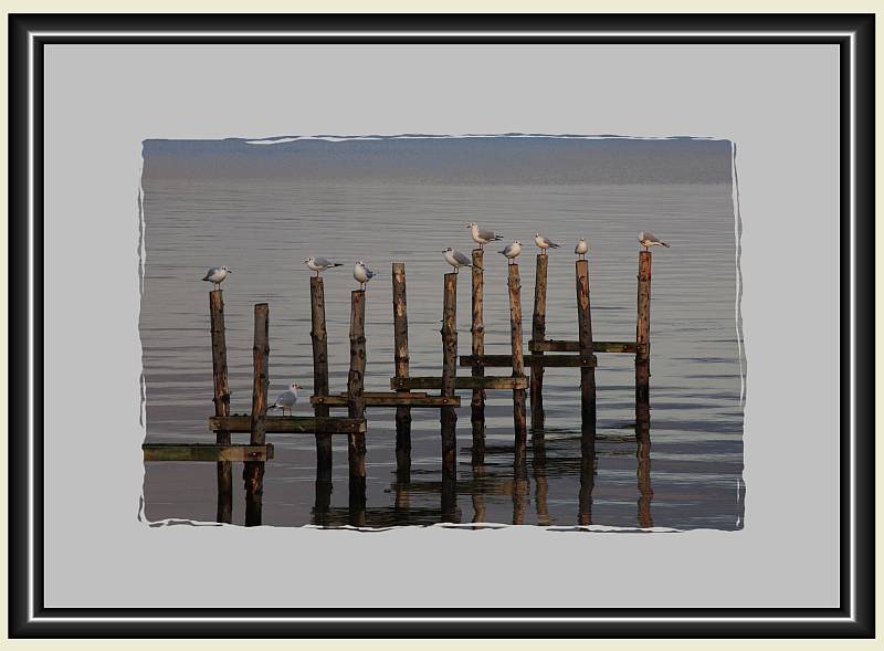 Beate Wurm "M�ven"