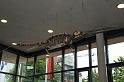 17-IMG_10552